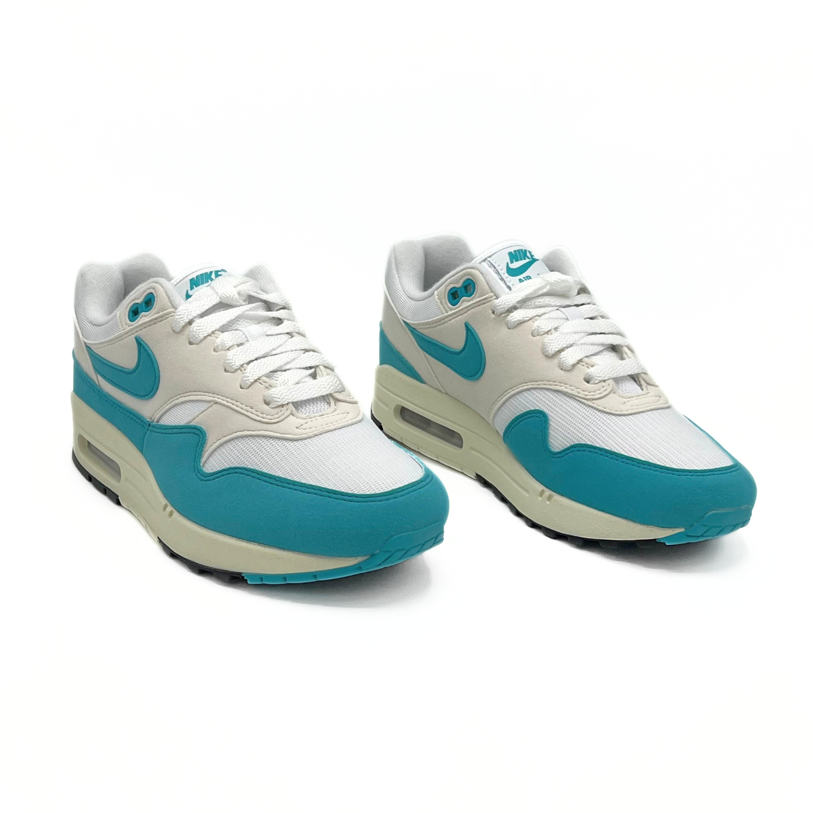 Nike Air Max 1 (Dusty Cactus) WMNS